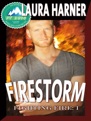 cover image of Firestorm